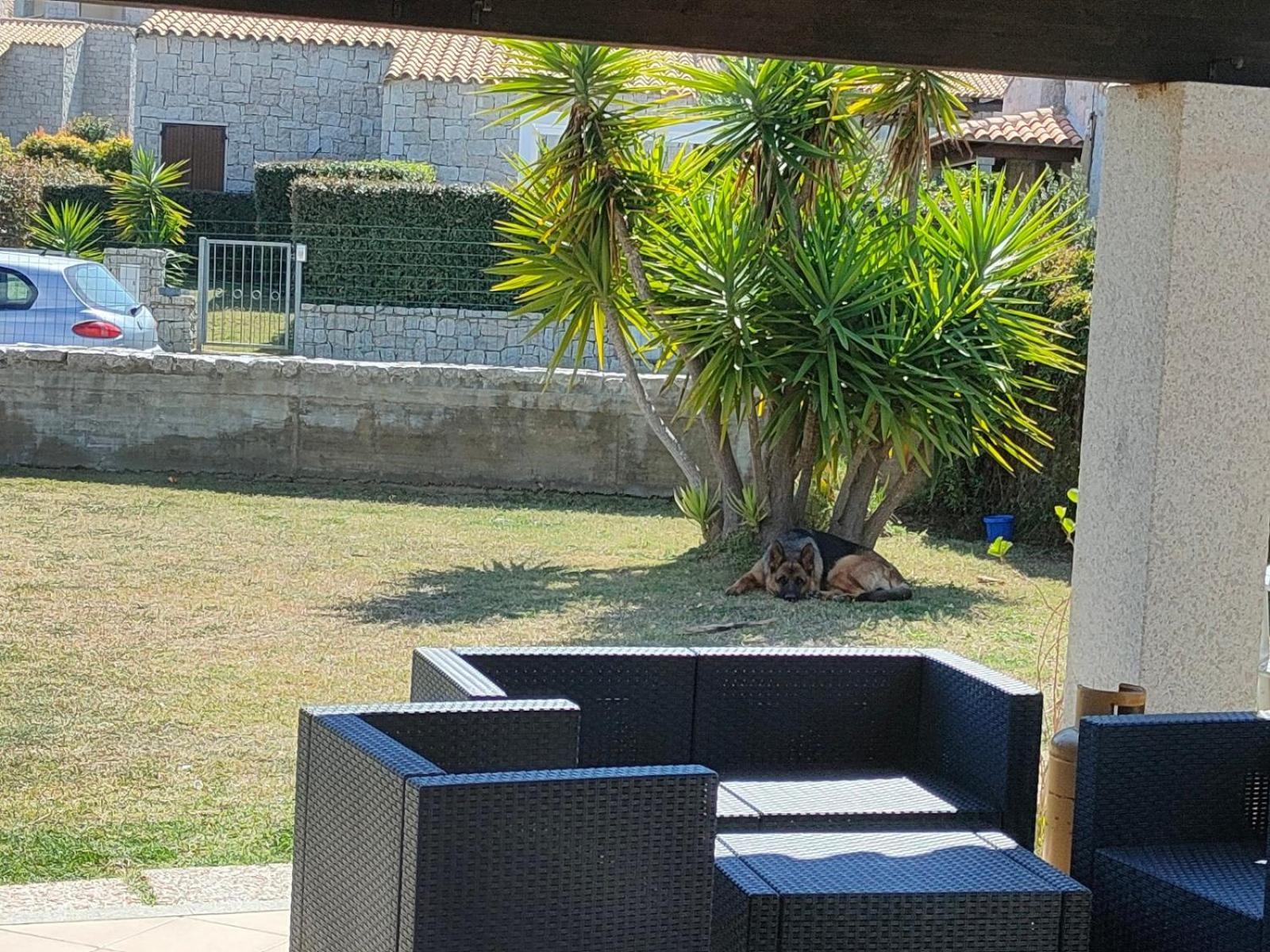 Villa Cala Sinzias 카스티아다스 외부 사진